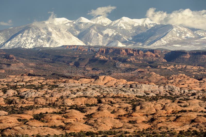 Petrified Sand Dunes