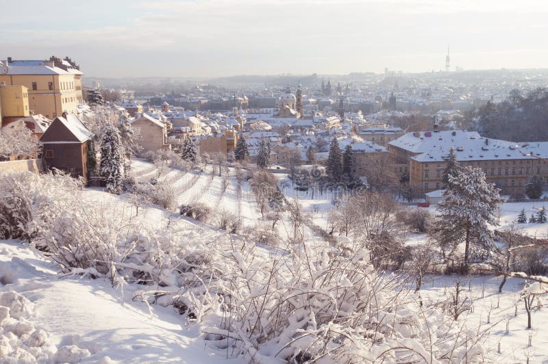 Petrin Hill and Prague Hradchany winter panorama