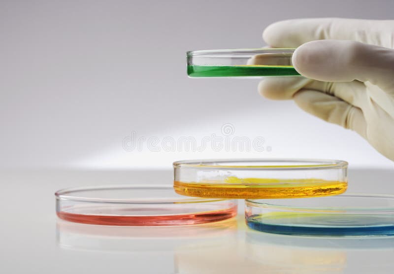 Petrischale stockbilder Petrischale stockbilder