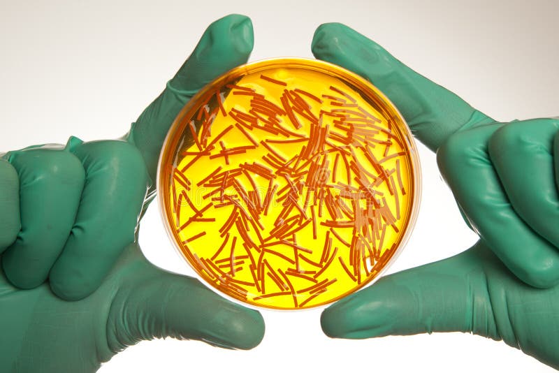 Scientist holding a petri dish with virus cells. Scientist holding a petri dish with virus cells