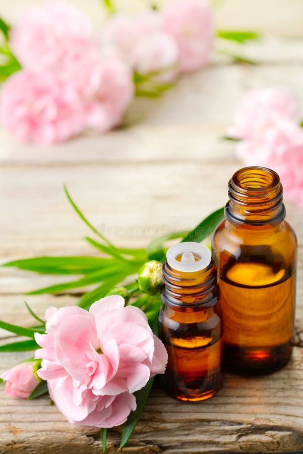 Petrolio essenziale di assoluto del garofano e fiori rosa sulla tavola di legno immagine stock Petrolio essenziale di assoluto del garofano e fiori rosa sulla tavola di legno immagine stock
