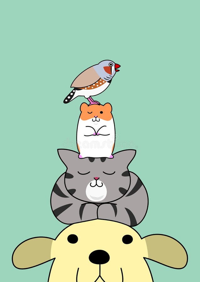 Pets pile on the head