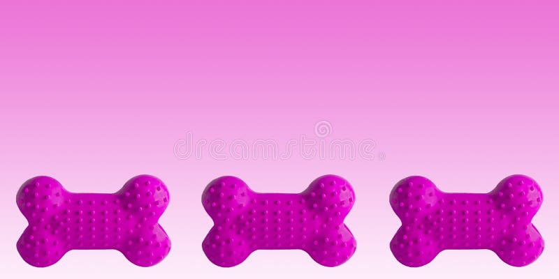 Colorful rubber dog`s bone isolated on white background, puppy dog toy imitated bones for relax with chewing,site banner stock image Colorful rubber dog`s bone isolated on white background, puppy dog toy imitated bones for relax with chewing,site banner stock image