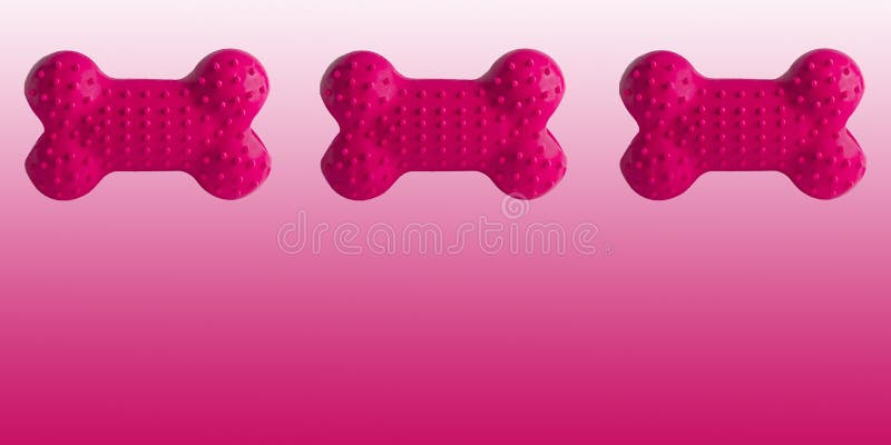 Colorful rubber dog`s bone isolated on white background, puppy dog toy imitated bones for relax with chewing,site banner royalty free stock photography Colorful rubber dog`s bone isolated on white background, puppy dog toy imitated bones for relax with chewing,site banner royalty free stock photography