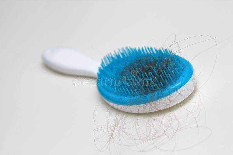 pettine con molti capelli persi Problemi di salute Alopecia Capelli sottili e deboli Sfondo solido bianco immagini stock libere da diritti pettine con molti capelli persi Problemi di salute Alopecia Capelli sottili e deboli Sfondo solido bianco immagini stock libere da diritti
