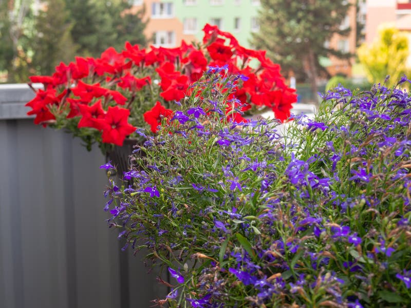 Balkon Mit Blumen An Der Sommerzeit Stockbild Bild Von Blumen Sommerzeit 85622251