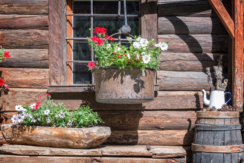 Petunienblumentöpfe auf dem Fenster eines hölzernen rustikalen Blockhauses in den Alpen, das Aostatal Italien lizenzfreie stockfotos Petunienblumentöpfe auf dem Fenster eines hölzernen rustikalen Blockhauses in den Alpen, das Aostatal Italien lizenzfreie stockfotos