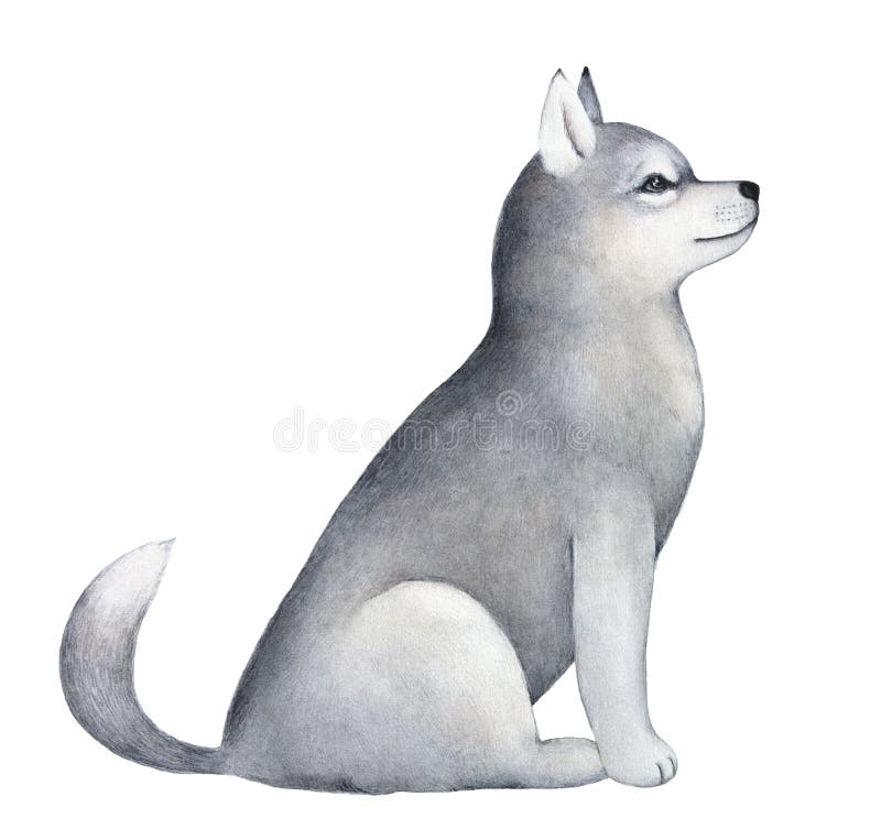 Peu beau portrait de caractère de chiot de chien de traîneau illustration stock Peu beau portrait de caractère de chiot de chien de traîneau illustration stock