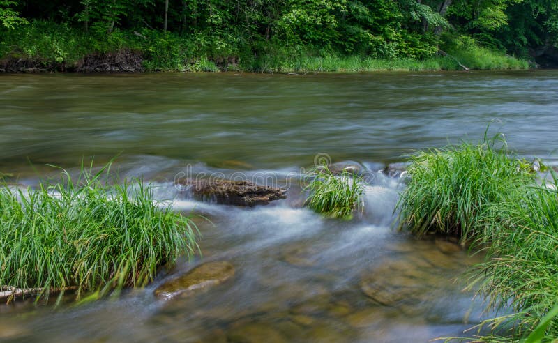 Peu de rivière de Beaverkill - courant célèbre de truite à New York photos stock Peu de rivière de Beaverkill - courant célèbre de truite à New York photos stock
