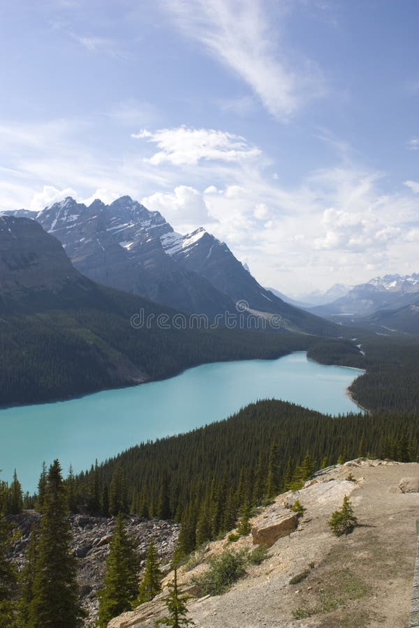 Peyto Lake royalty free stock photo