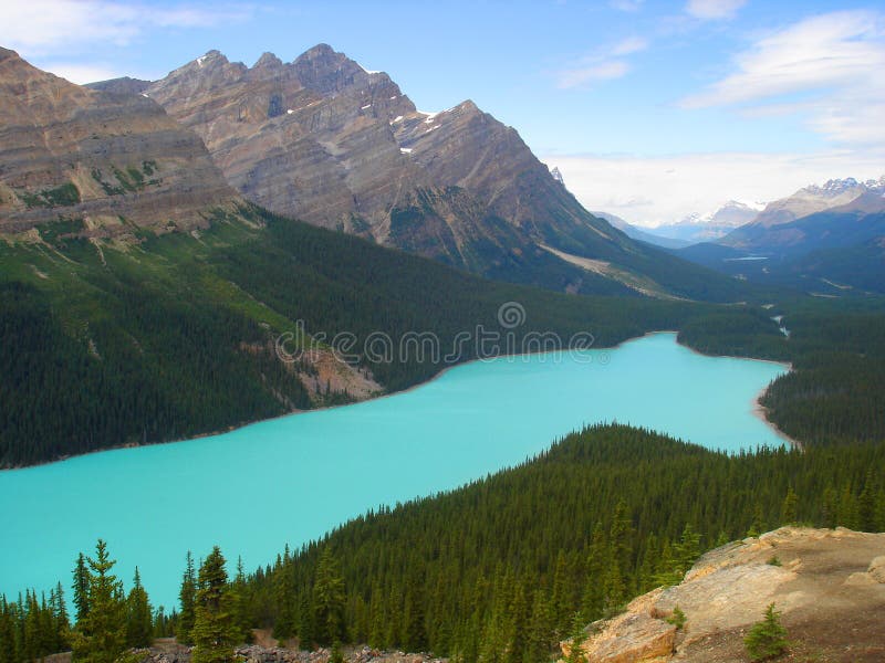 Peyto Lake stock images