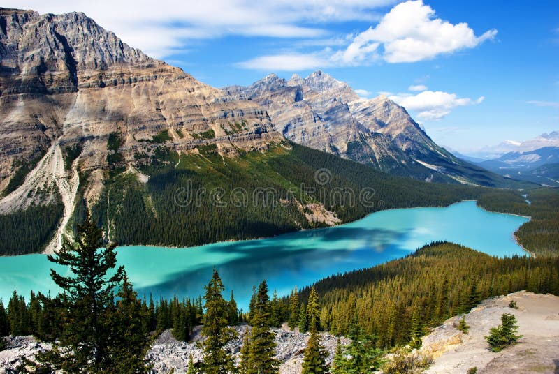 Peyto Lake Banff