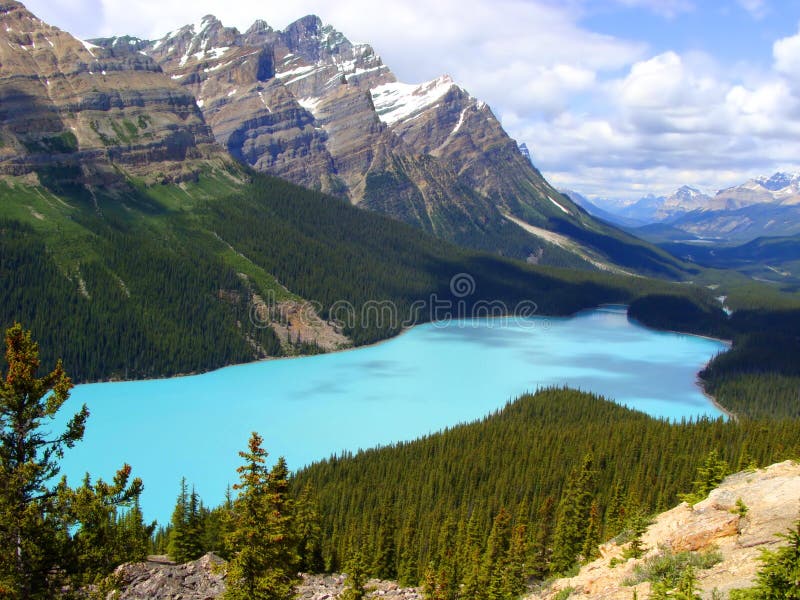 Peyto Lake, Banff National Park stock images