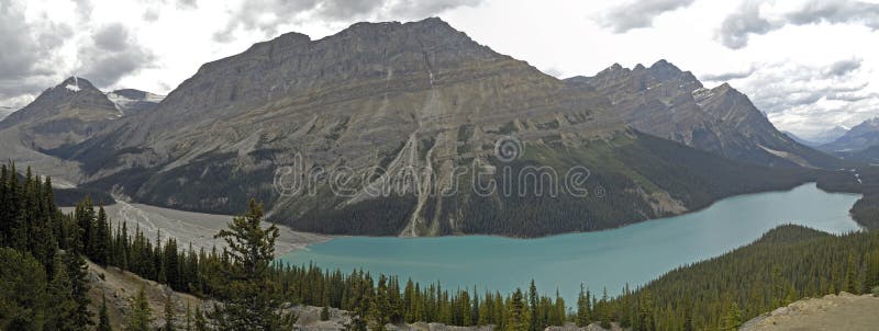 Peyto Lake bei Bow Summit lizenzfreie stockbilder Peyto Lake bei Bow Summit lizenzfreie stockbilder