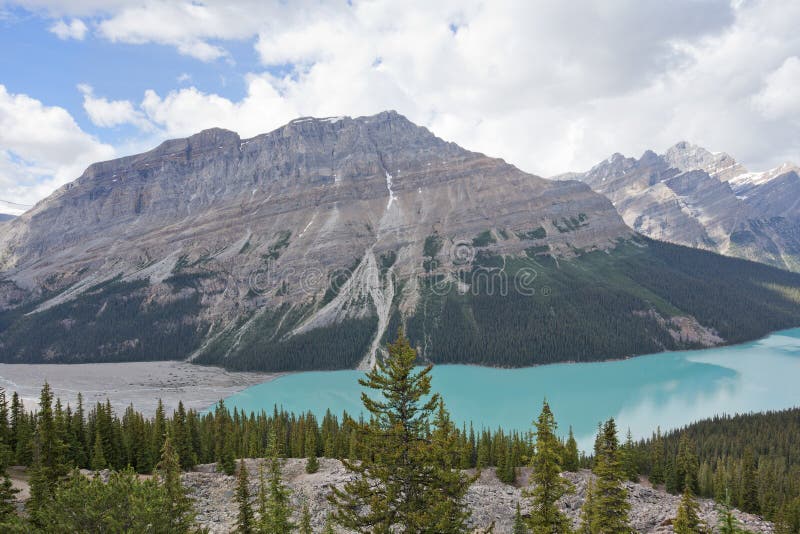 Peyto nationalpark för sjö, Banff fotografering för bildbyråer Peyto nationalpark för sjö, Banff fotografering för bildbyråer