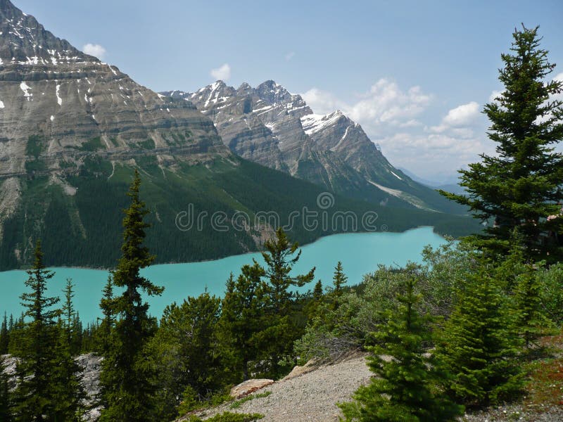 Peyto Lake in Banff National Park is located close to the Icefields Parkway. The water in the lake has a beautiful color. Peyto Lake in Banff National Park is located close to the Icefields Parkway. The water in the lake has a beautiful color
