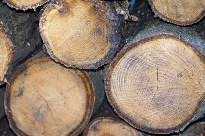 Spaccalegna Manuale In Acciaio - Per Legna Da Ardere Da 19cm - Sicuro E Facile Da Usare - Foto 8