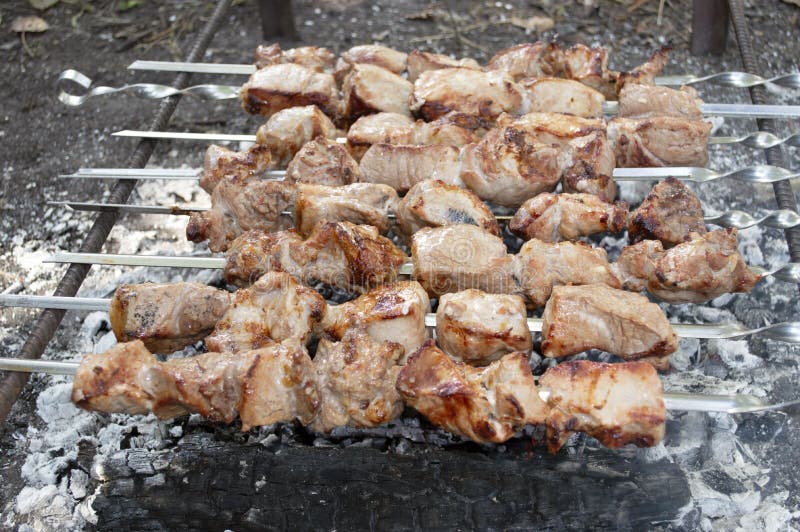 Pezzi grigliati su skewers fotografia stock libera da diritti