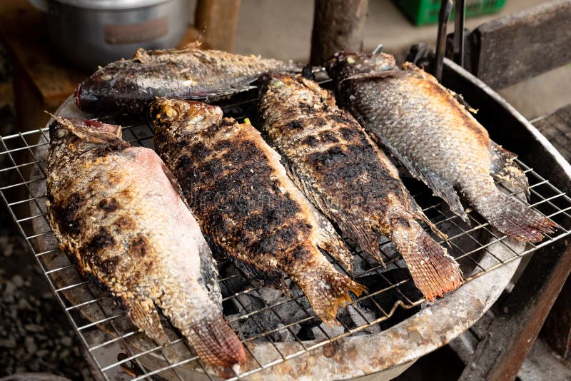 Pește tilapia la grătar cu ierburi, mâncare asiatică sănătoasă, cu gust bun royalty free stock photography