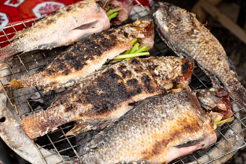 Pește tilapia la grătar cu ierburi, mâncare asiatică sănătoasă, cu gust bun stock photos