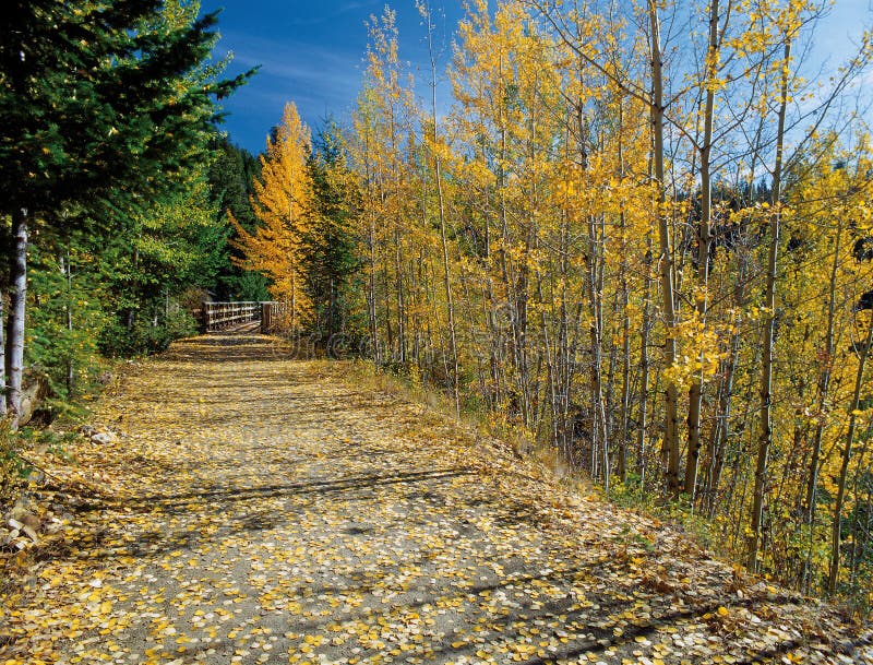 Path in Okanagan, Myra Canyon, at fall. Path in Okanagan, Myra Canyon, at fall