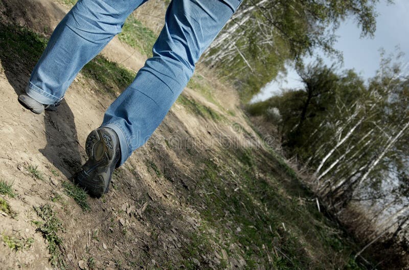 Close-up photo of the man legs walking through the forest. Close-up photo of the man legs walking through the forest