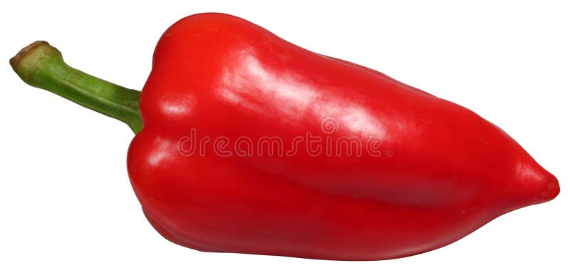Pfeffer lizenzfreie stockfotografie