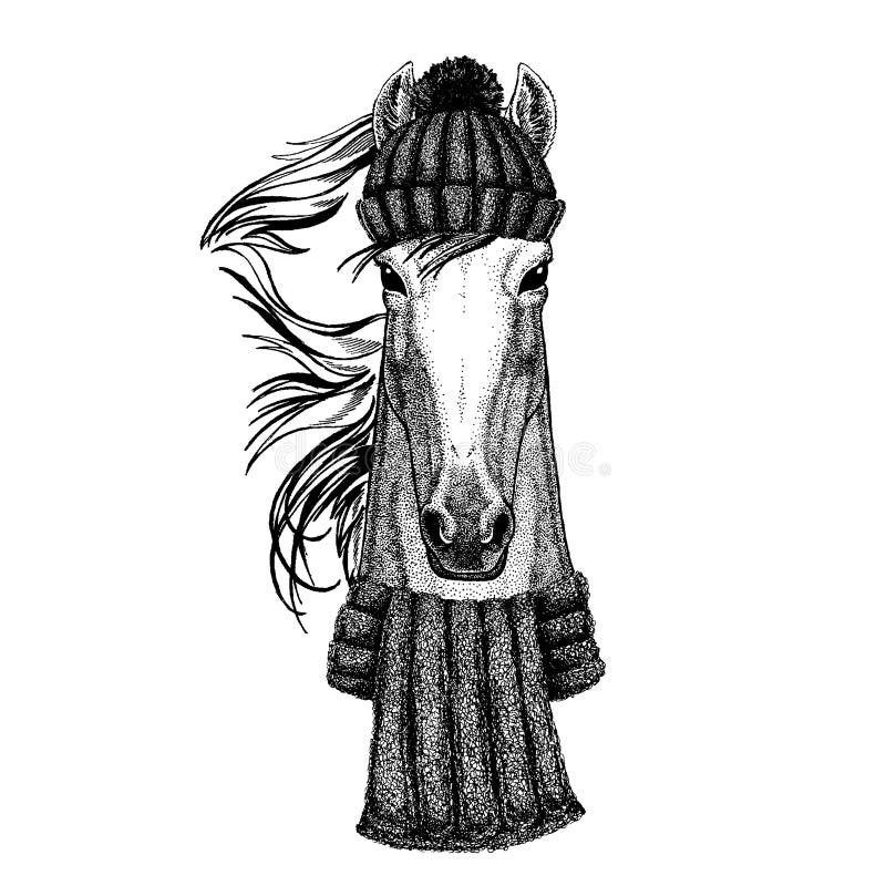 Pferd, hoss, Ritter, Ross, courser kühles Tier, das gestrickten Winterhut trägt Warme Kopfschmuck Beanie Weihnachtskappe für stock abbildung Pferd, hoss, Ritter, Ross, courser kühles Tier, das gestrickten Winterhut trägt Warme Kopfschmuck Beanie Weihnachtskappe für stock abbildung