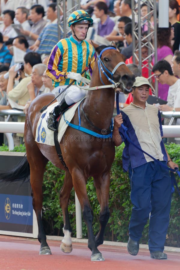 Pferd mit Jockey stockbilder Pferd mit Jockey stockbilder