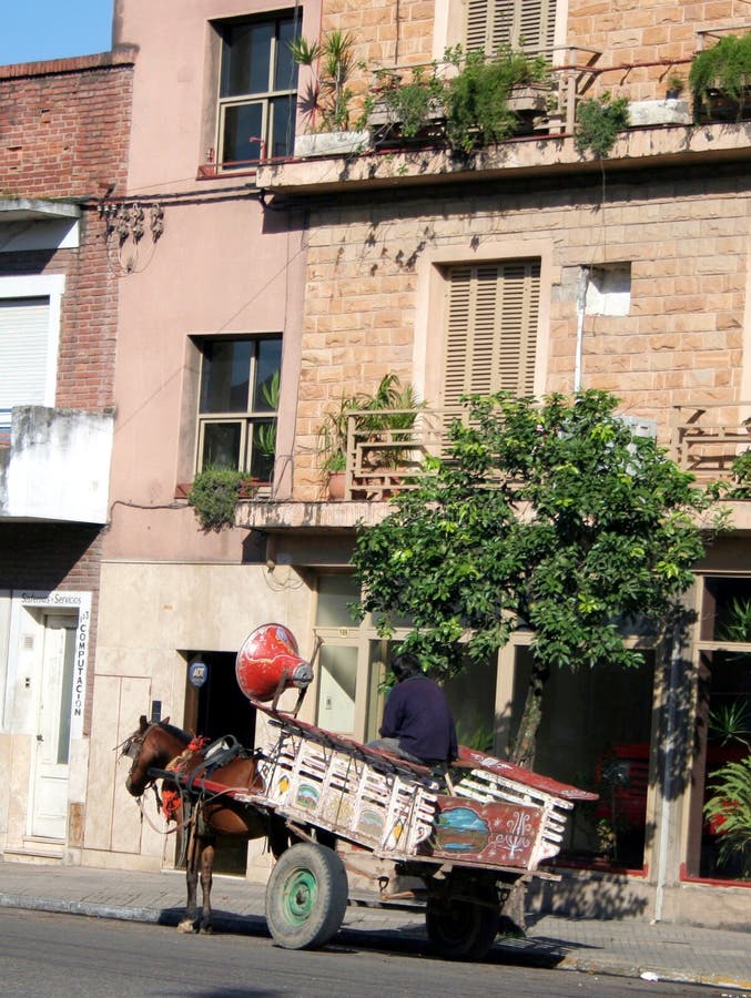 Pferd und Buggy lizenzfreie stockbilder Pferd und Buggy lizenzfreie stockbilder