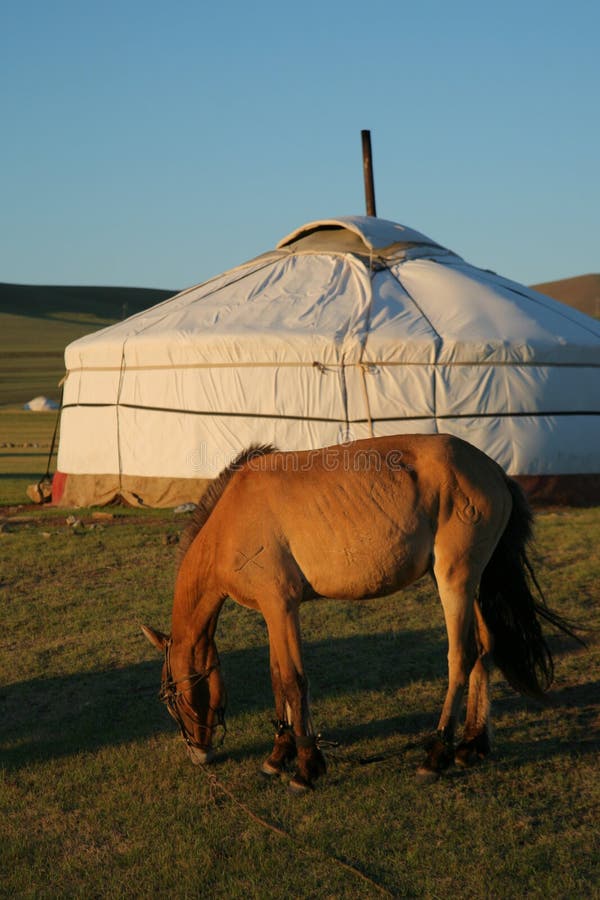 Pferd und Ger Terelj Mongolei Mittelasien