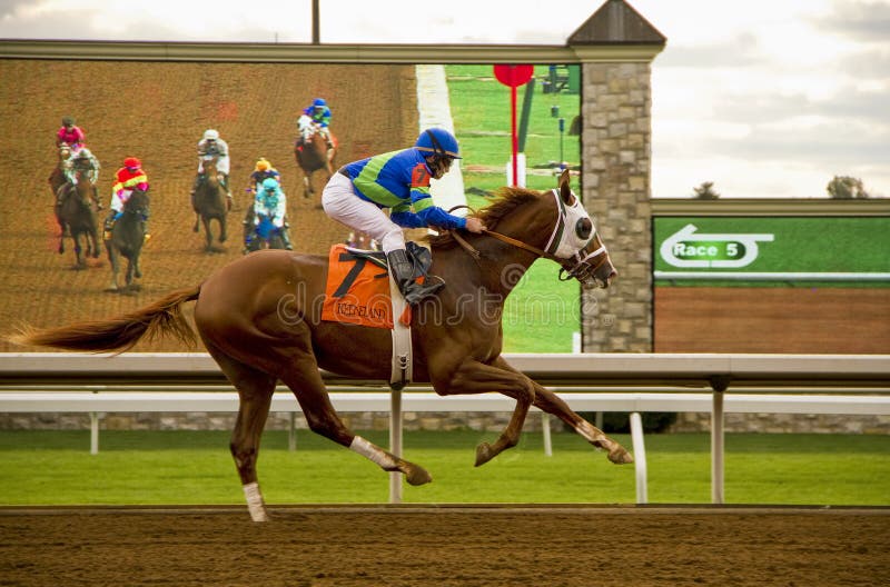 Pferd und Jockey, die hinter Schirm galoppieren stockbild Pferd und Jockey, die hinter Schirm galoppieren stockbild