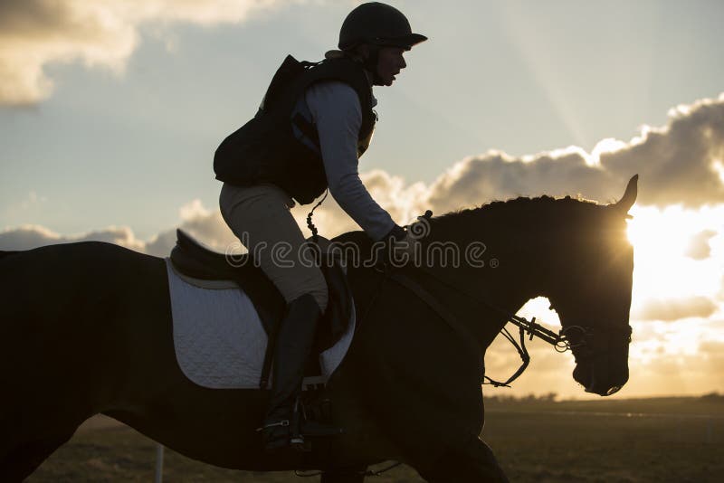 Pferd und Reiter lizenzfreie stockfotografie Pferd und Reiter lizenzfreie stockfotografie
