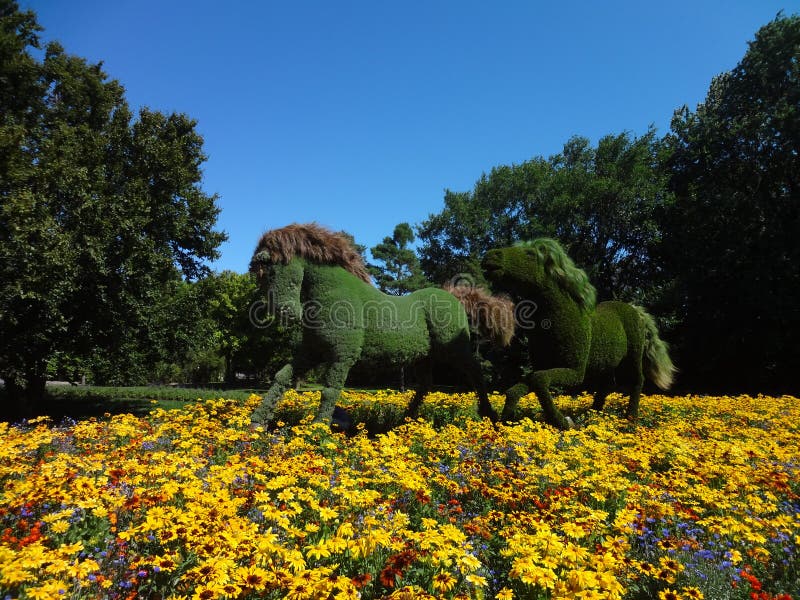 Pferde Mit Betriebshaut Botanischer Garten Von Montreal