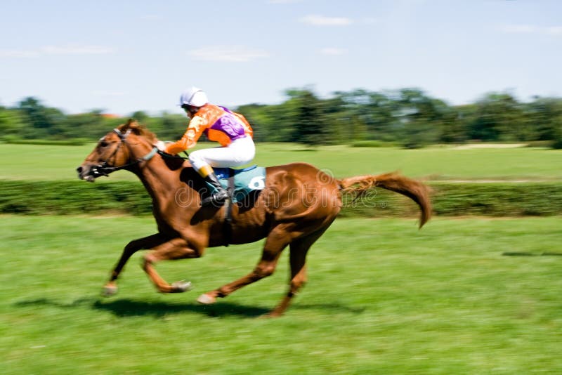 Horse racing on green track, motion blurred. Horse racing on green track, motion blurred