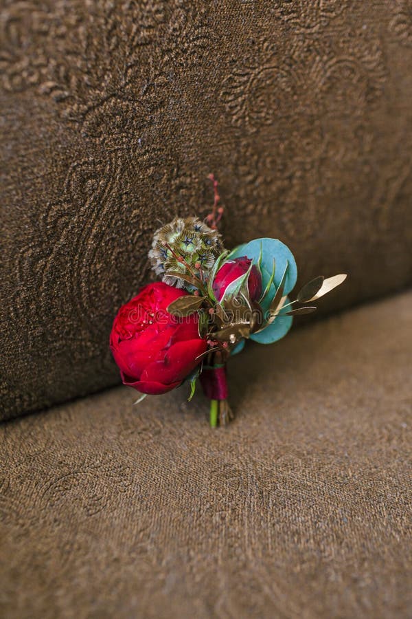 Pflegen Sie ` s Boutonniere mit einer roten Pfingstrose auf einem braunen Hintergrund Ist hier ein Foto von 4 Strahlenkämpfern in stockbild Pflegen Sie ` s Boutonniere mit einer roten Pfingstrose auf einem braunen Hintergrund Ist hier ein Foto von 4 Strahlenkämpfern in stockbild