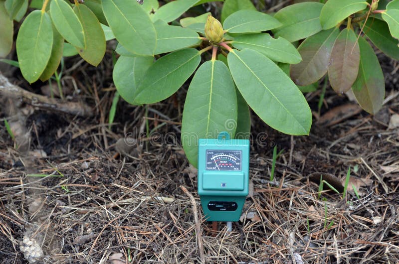 PH-meter in the garden.