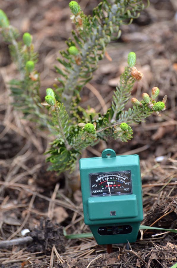 PH-meter in the garden.