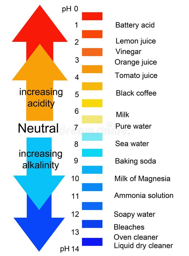 Química instrumento de medición acidez sobre el, vida ejemplos de la mayoría.