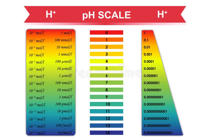 Litmus Paper Chart