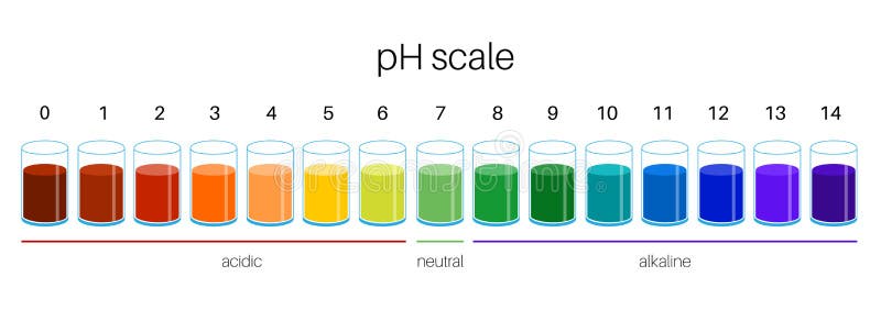 PH scale chart, acid balance of nutrition measure meter and food