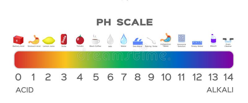 Litmus Paper Chart