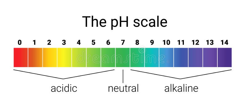 Ph Acid And Base Chart