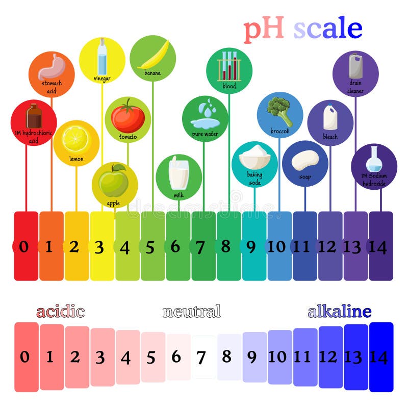 Universal Indicator Paper Colour Chart