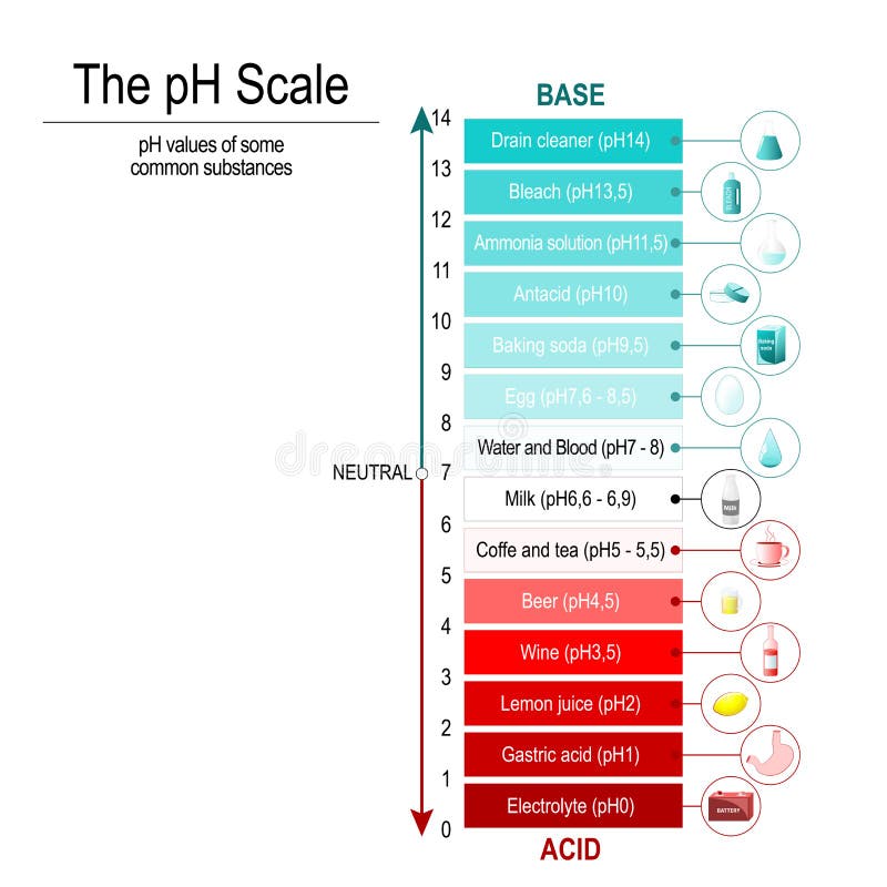 PH scale. Vector diagram stock vector. Illustration of ...