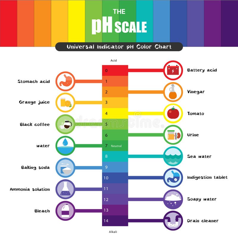 Acidic Vs Alkaline Ph Chart