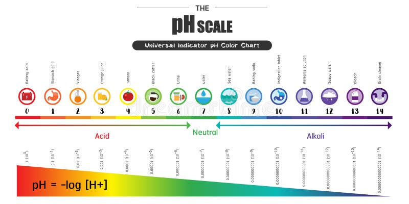 Universal Scale Chart