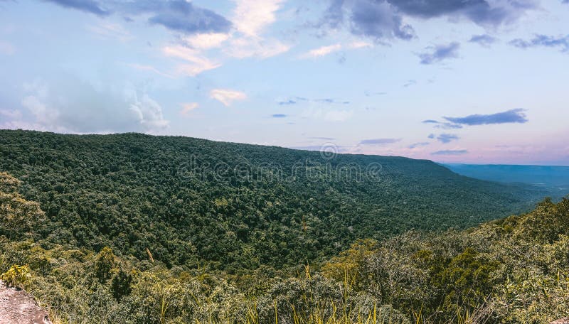 Pha diao dai lonely cliff view point в национальном парке кхао яй накхон ратчасима таиланд стоковые изображения rf