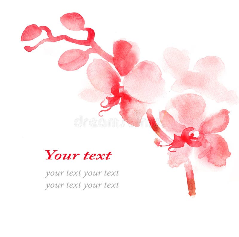 Phalaenopsis orchid royalty free illustration Phalaenopsis orchid royalty free illustration