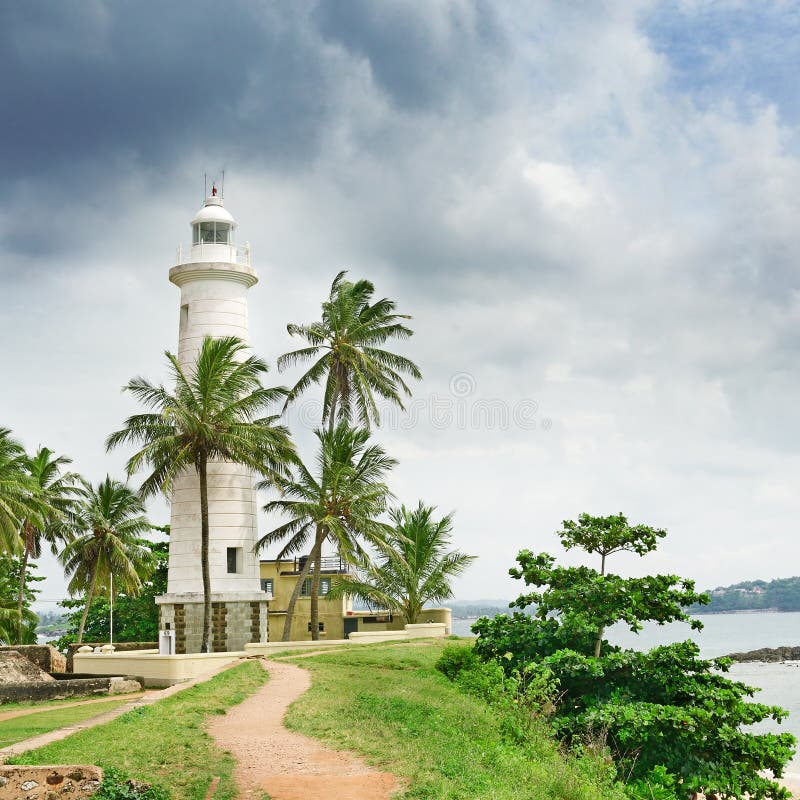 Phare et palmiers photographie stock libre de droits Phare et palmiers photographie stock libre de droits